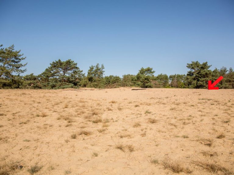 Kompas Omgevingsadvies  omgevingsadvies