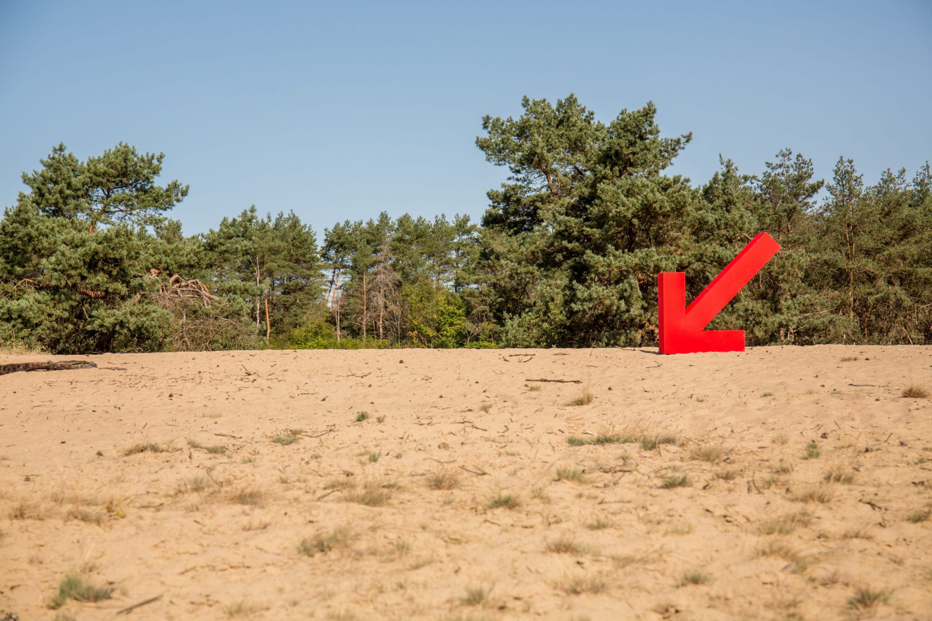 Kompas Omgevingsadvies  omgevingsadvies