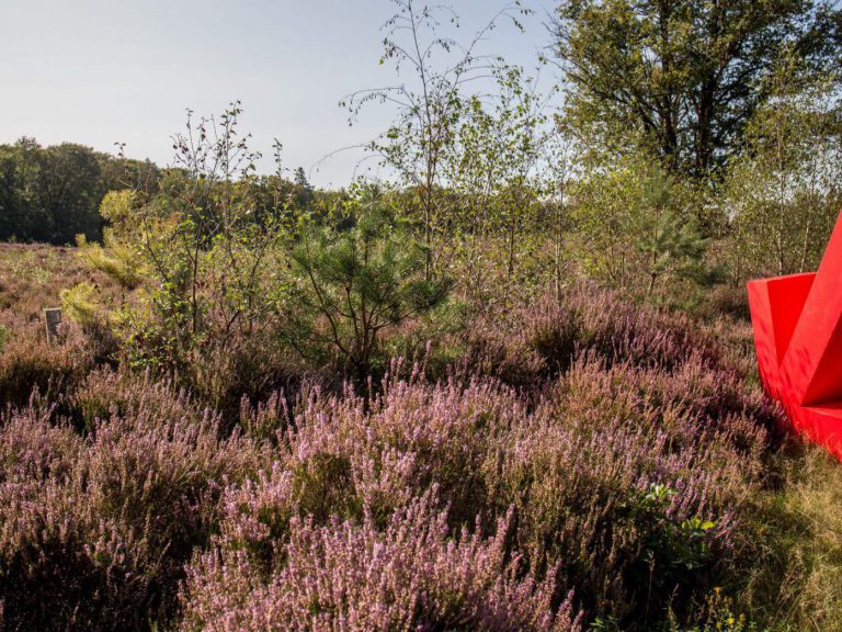 Kompas Omgevingsadvies  omgevingsadvies