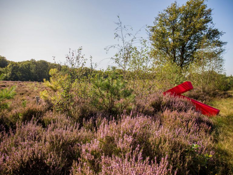 Kompas Omgevingsadvies  omgevingsadvies