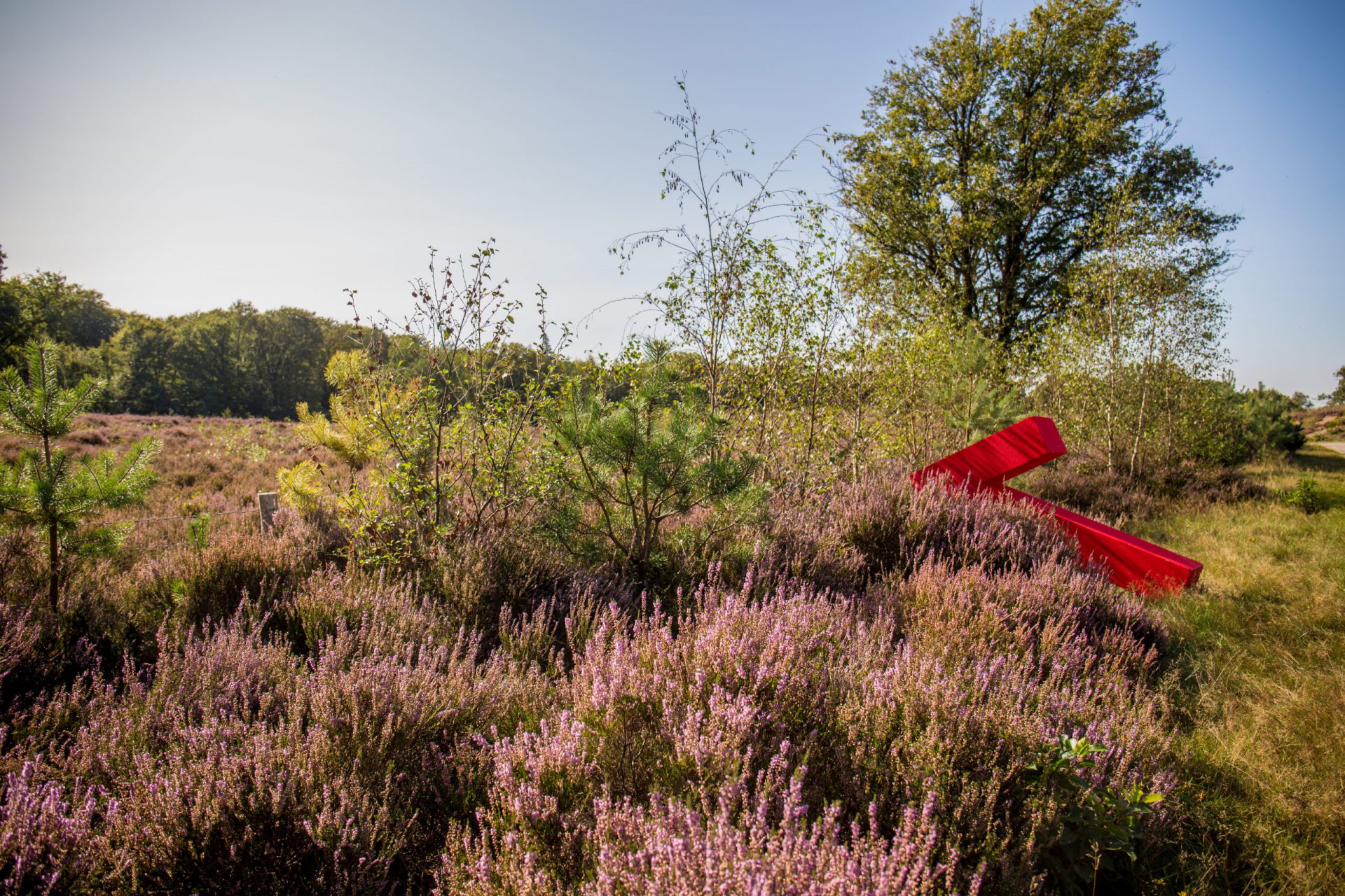 Kompas Omgevingsadvies  omgevingsadvies